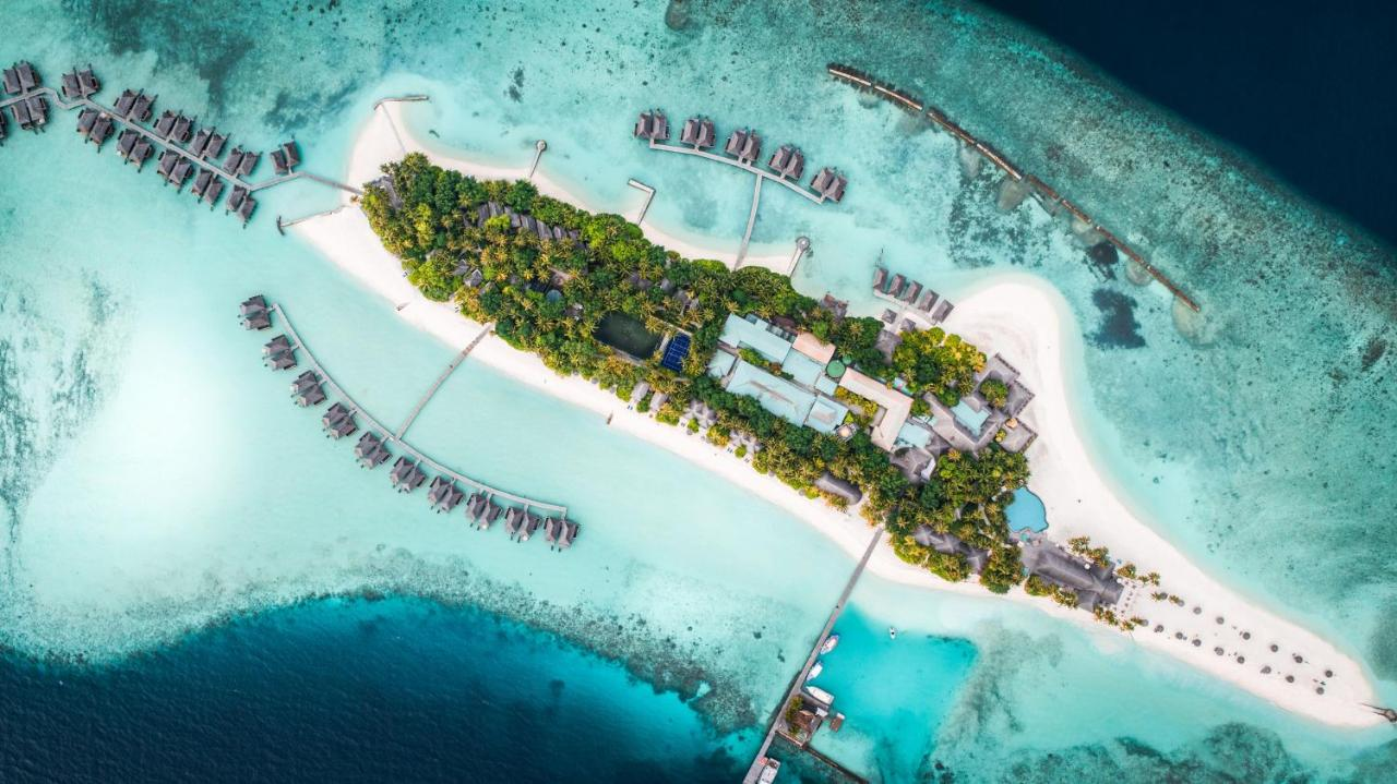 surf resorts maldives with uncrowded surf 
