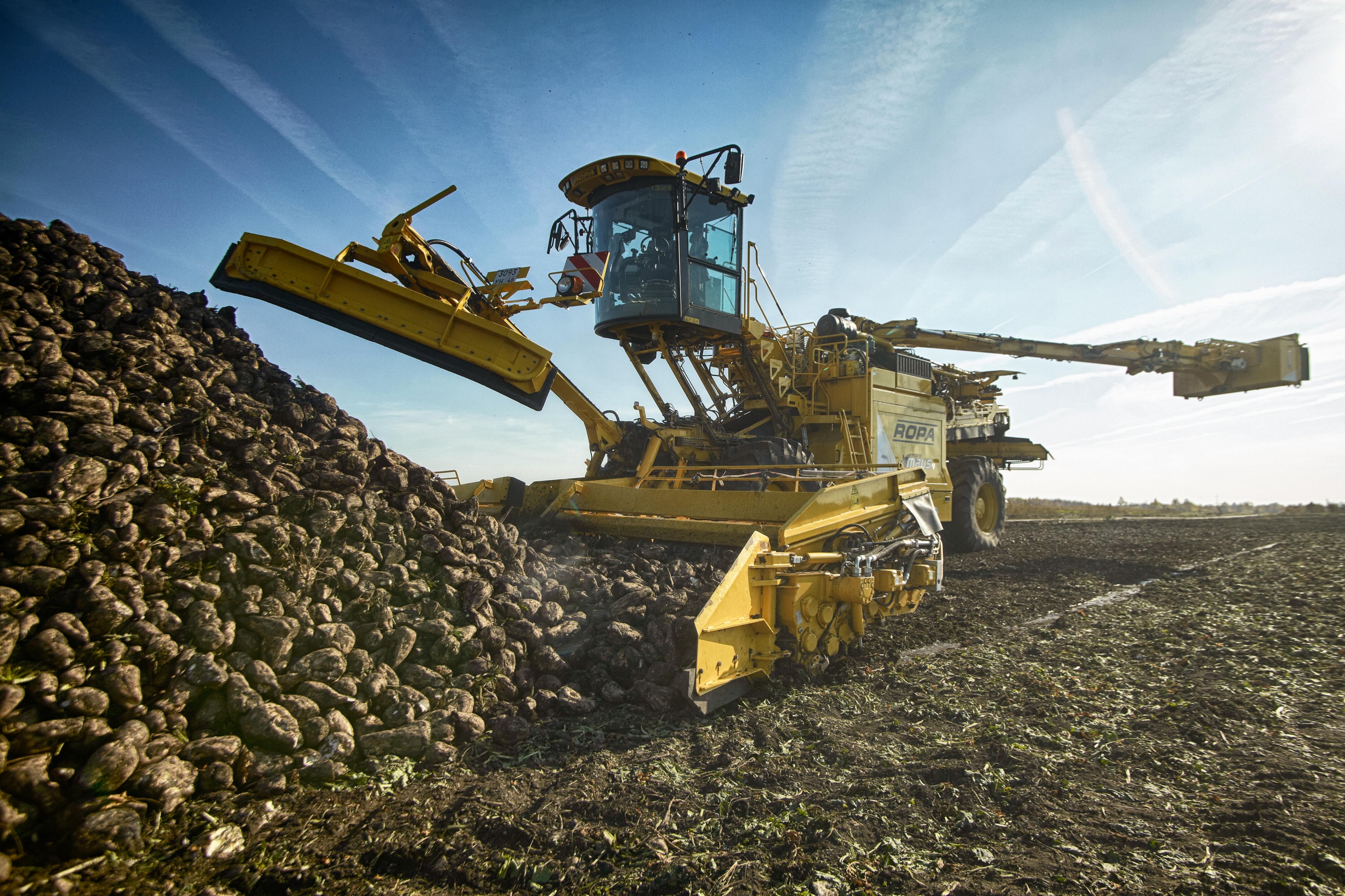 Gaz ziemny i ropa naftowa to kluczowe surowce mineralne.