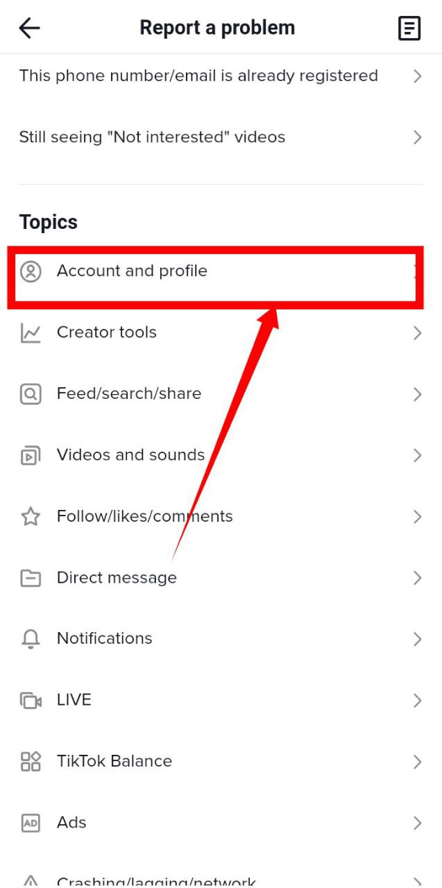 Screenshot indicating the "Account and profile" option