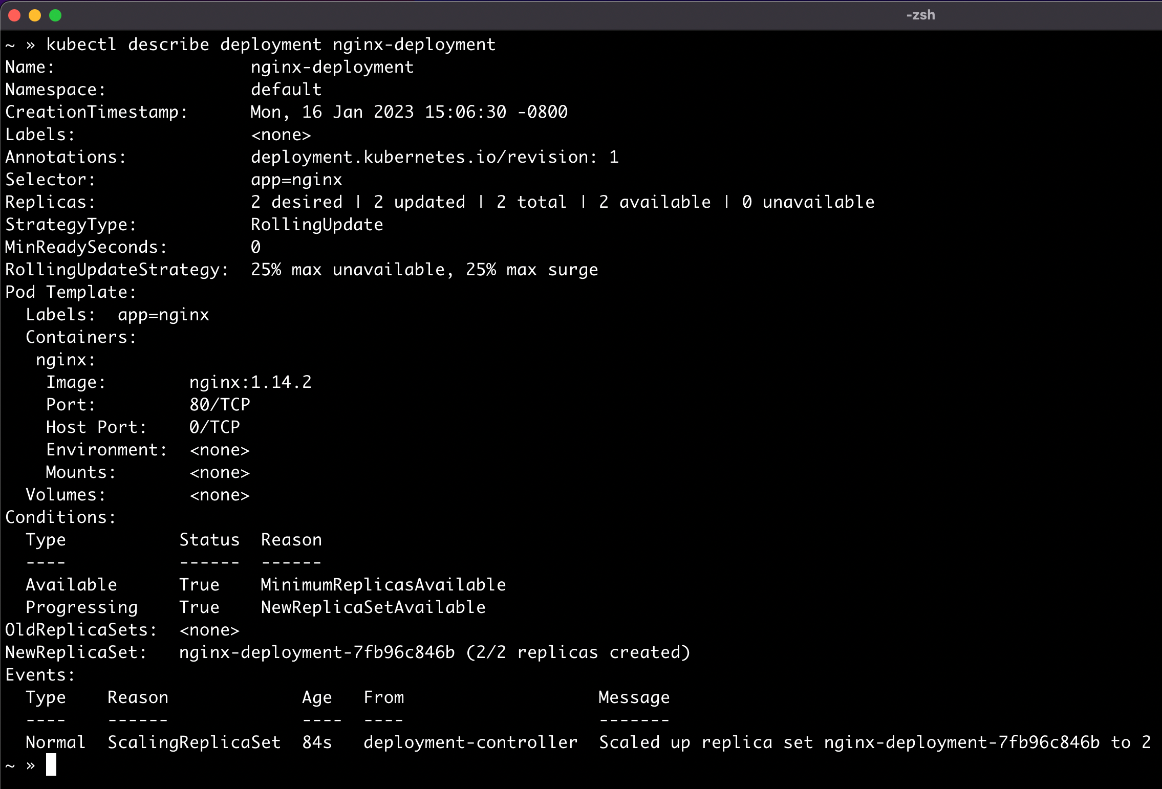 minikube nginx describe deployment