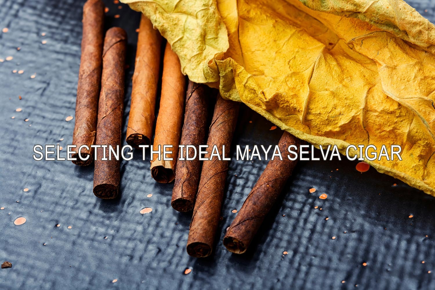 Artistic depiction of the cigar selection process by Maya Selva