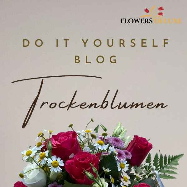 Blumenblog 2022 zur Trockenen Blumenstrauß Methode ist auch online!