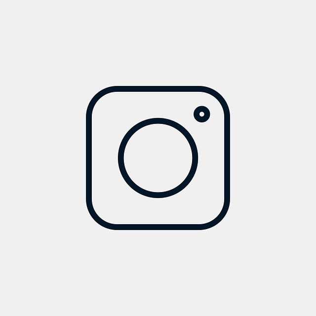 instagram, social network, button, icon, instagram logo,