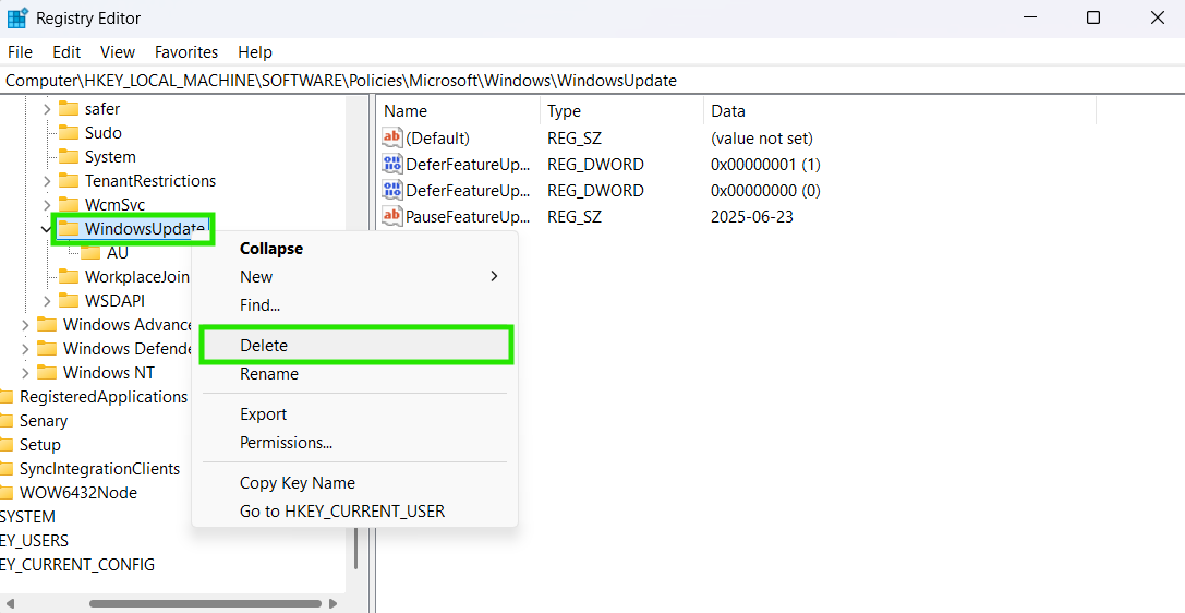When deleting the folder to resume Windows 11 updates