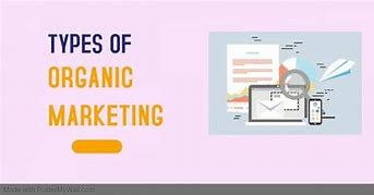 different types of organic marketing