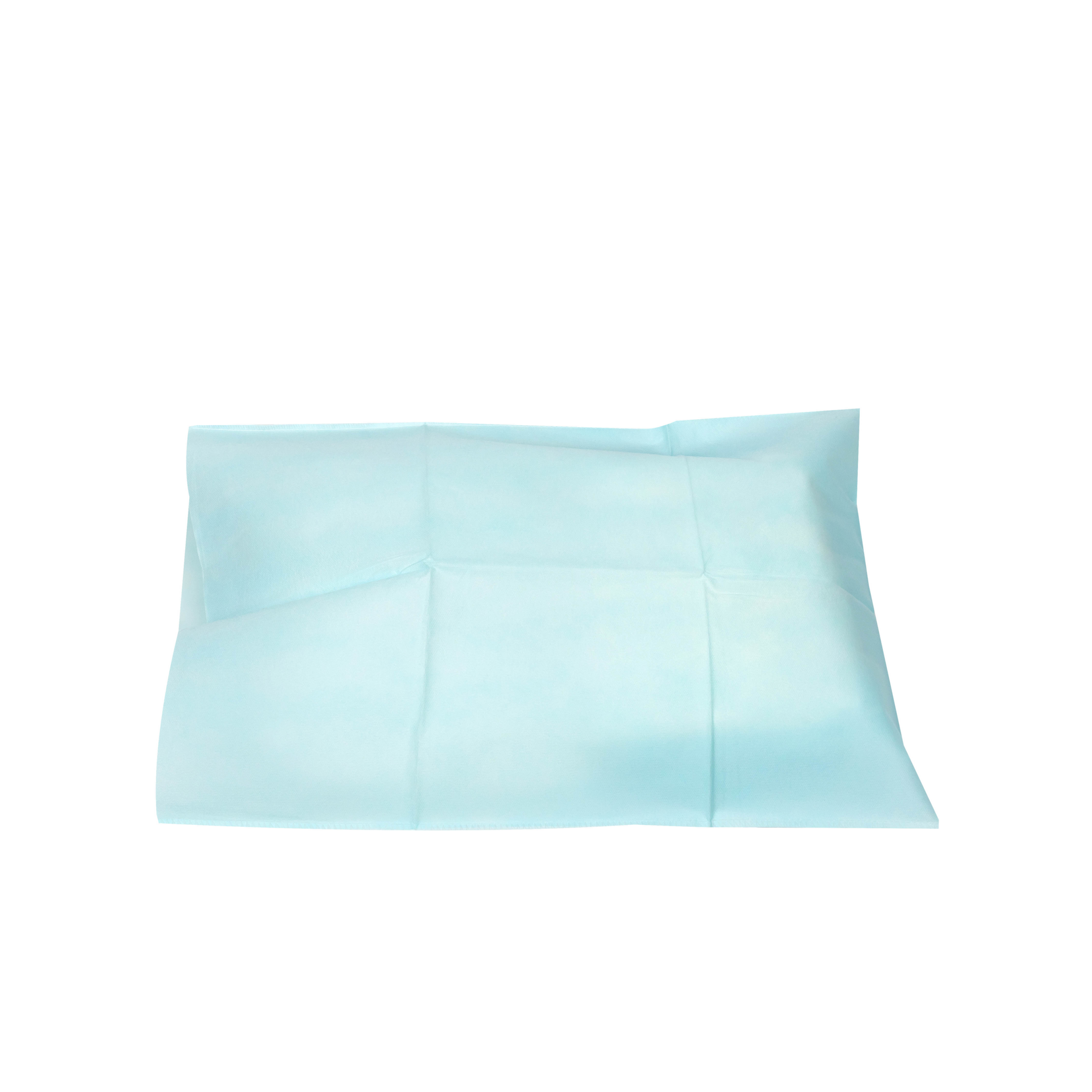 Disposable hotsell pillow covers