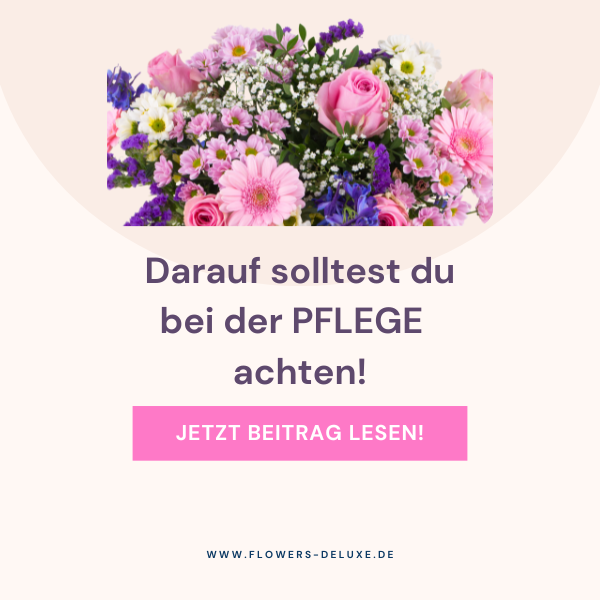 Pflege Tipps von FlowersDeluxe