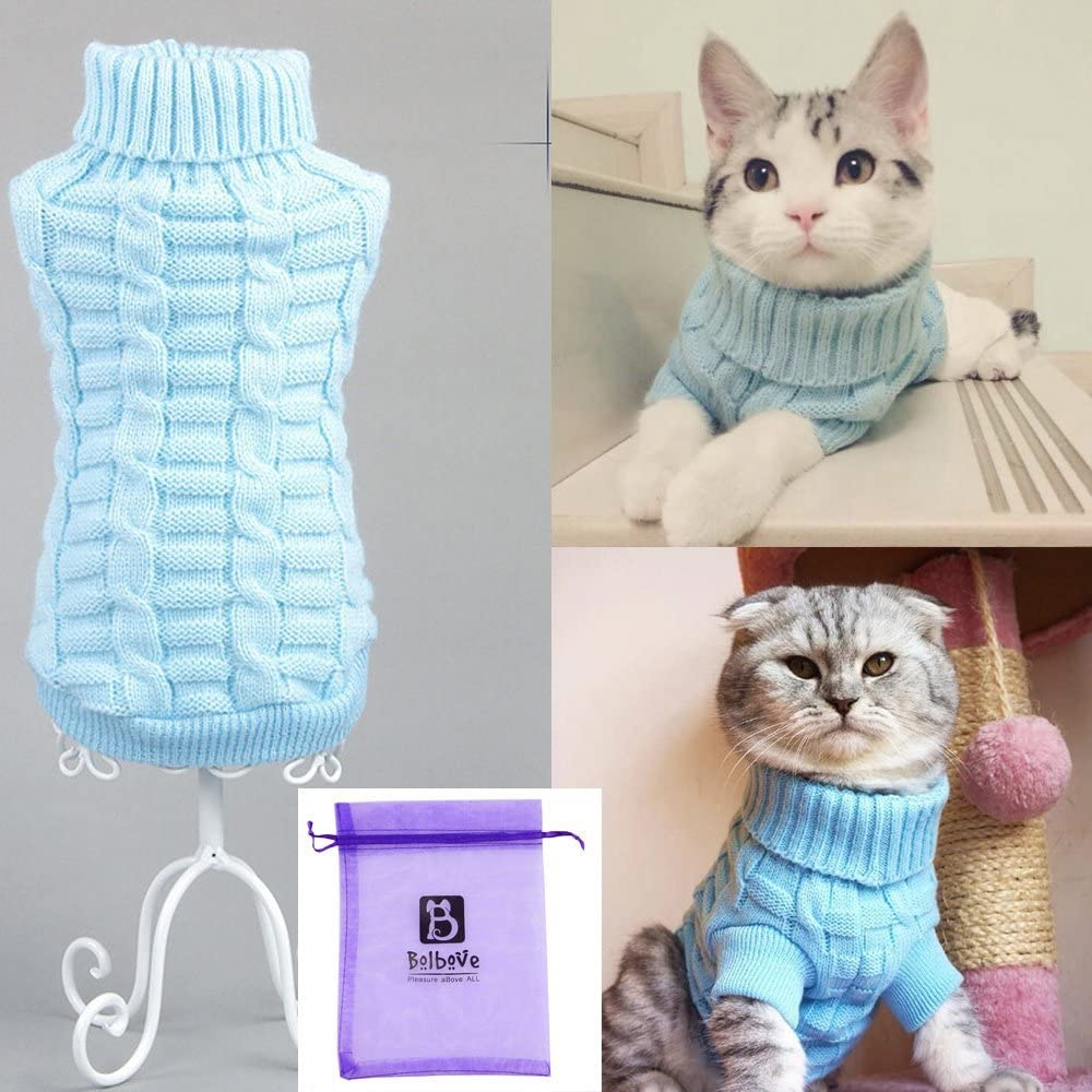 soft sweater for cats