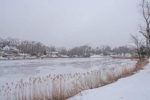 Winter is cold, though quite lovely