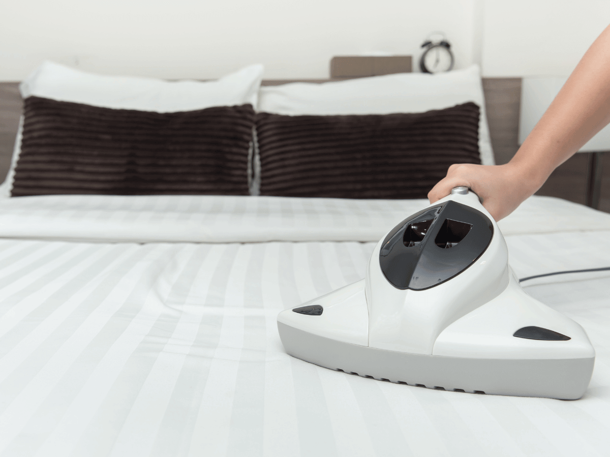 Preventing bed bug infestations