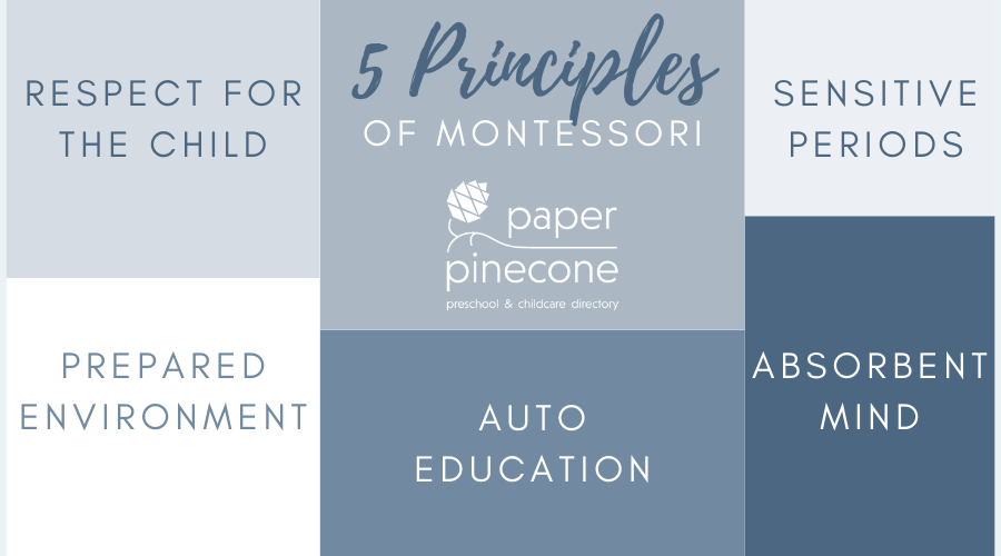 5 principles of montessori