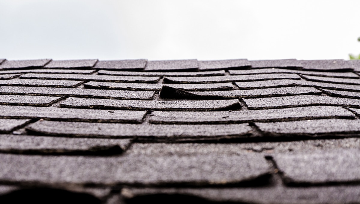 A close up picture of curling asphalt shingles on a residential roof.