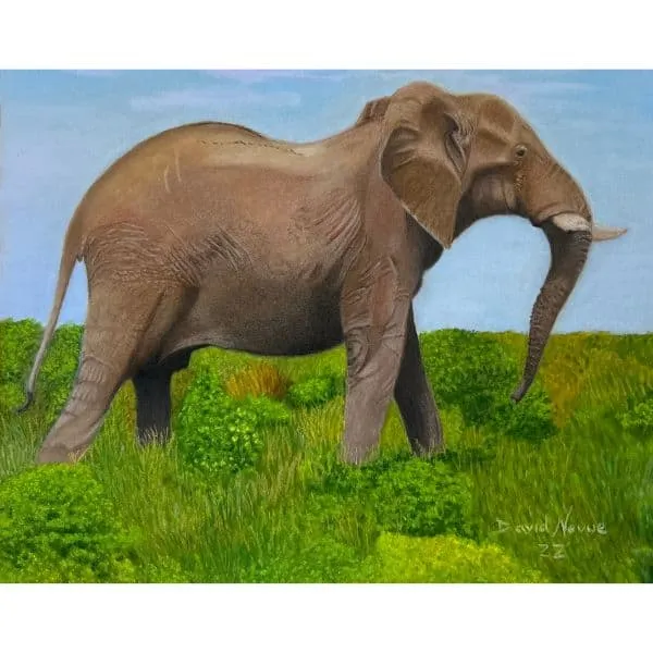 elephant pastel drawing