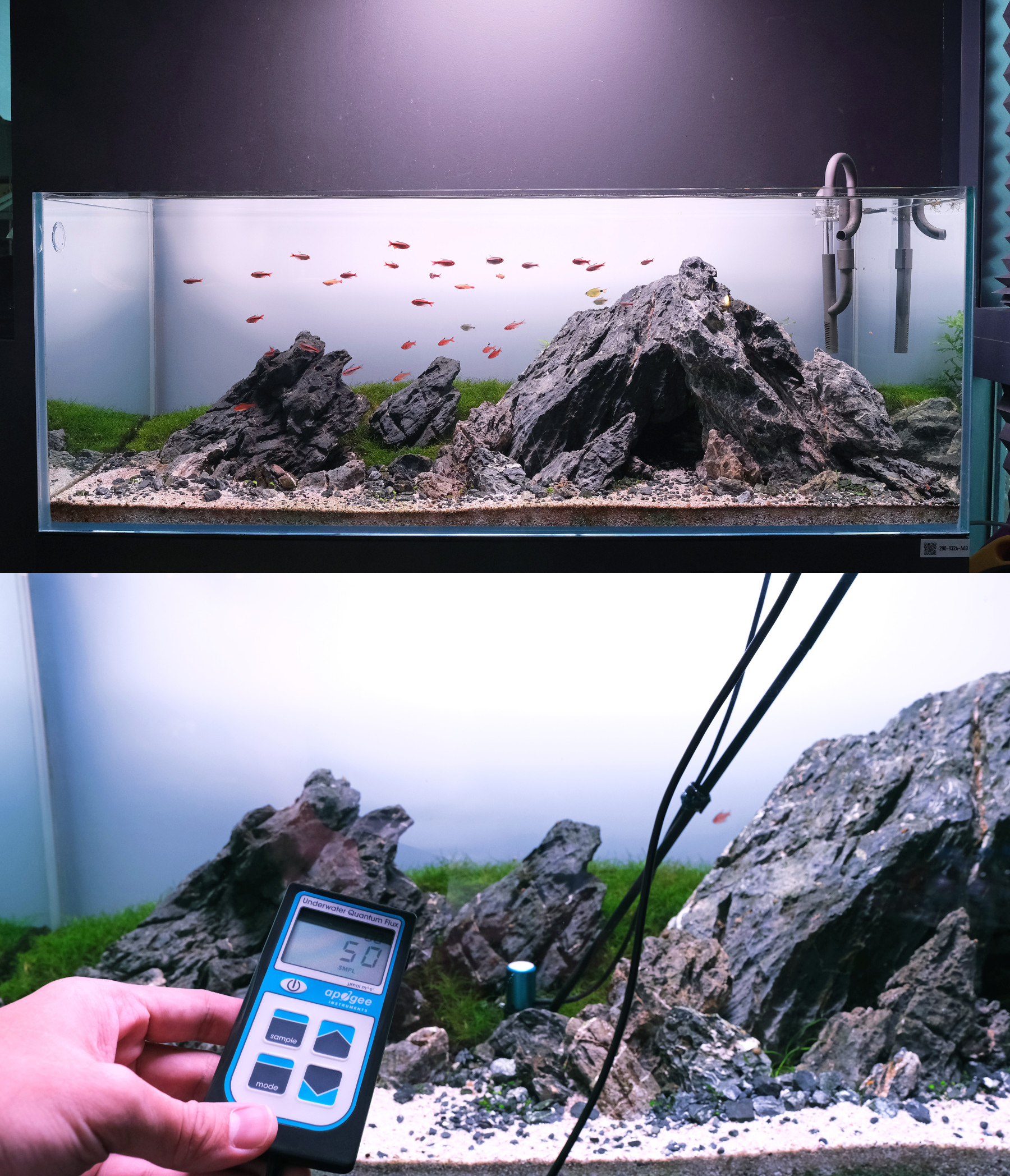 Measuring aquarium light strength using a PAR meter with submersible probe