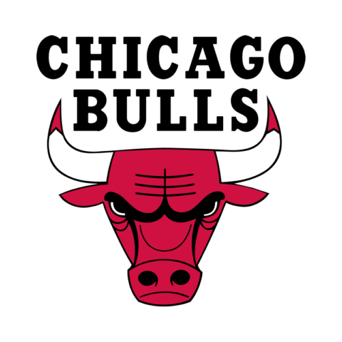 Chicago Bulls NBA team logo