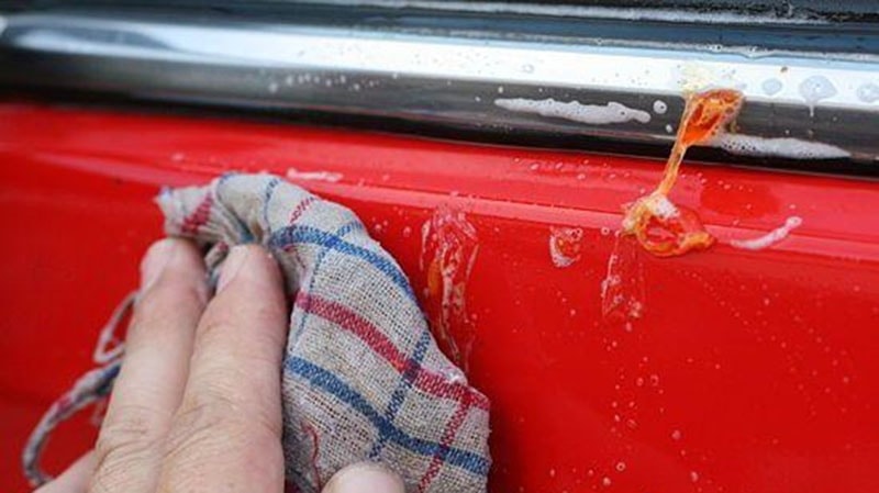 Tree sap on the red car door