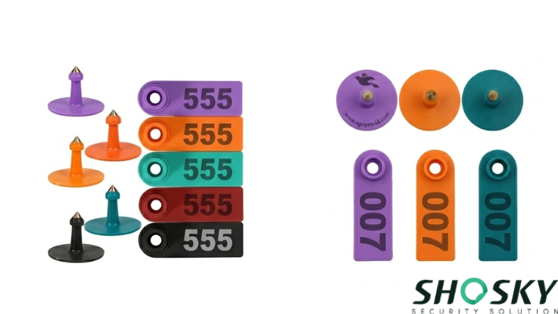 cattle ear tags for livestock identification
