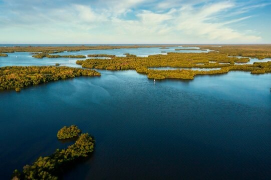 Kayaking Ten Thousand Islands