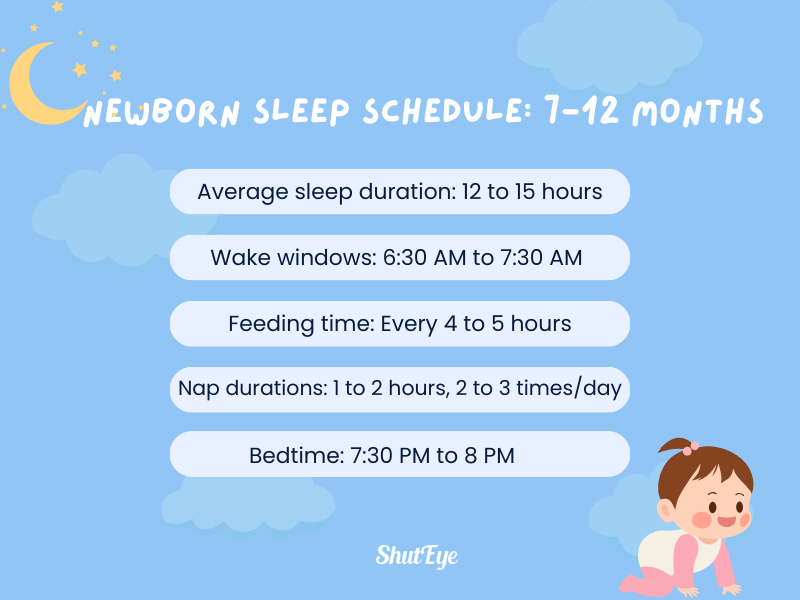 newborn sleep schedule example for 7 to 12 months shuteye