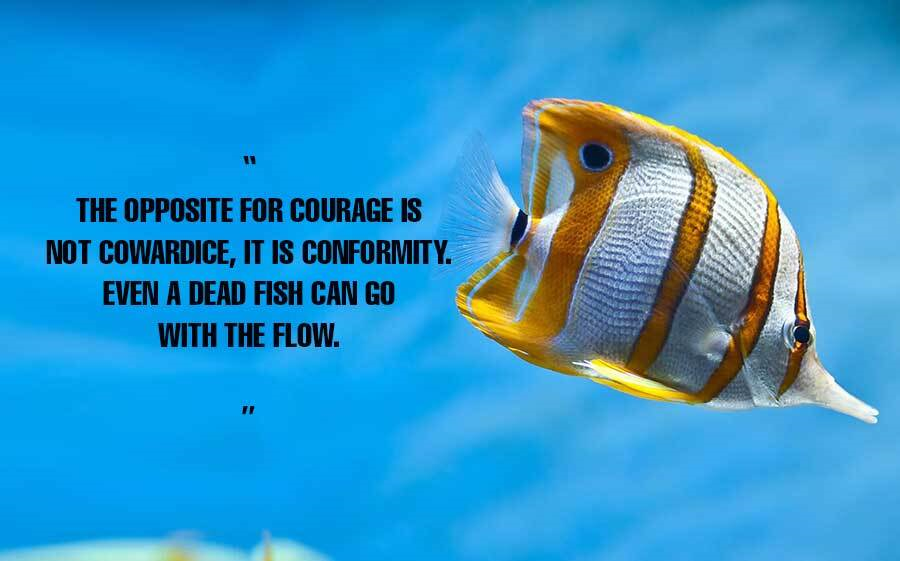 Courage Quotes