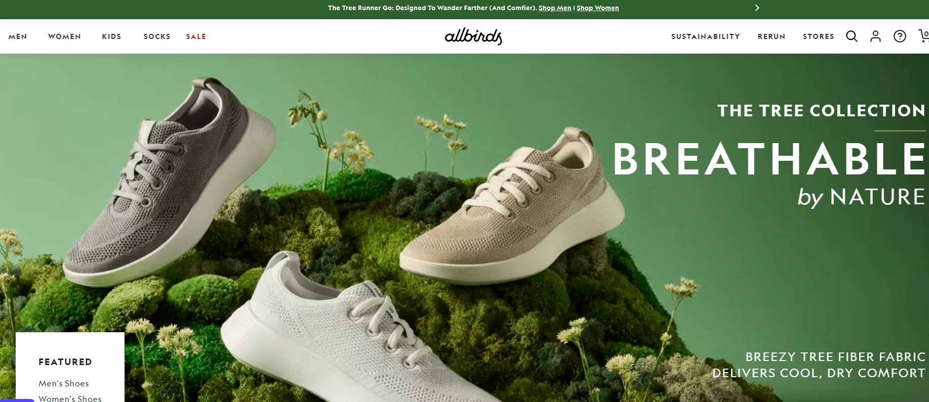 allbirds successful shopify stores