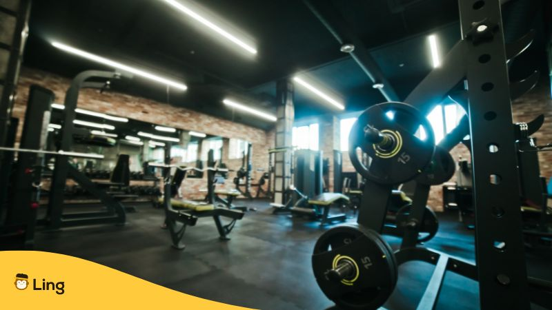 Training Equipment Inside Gym