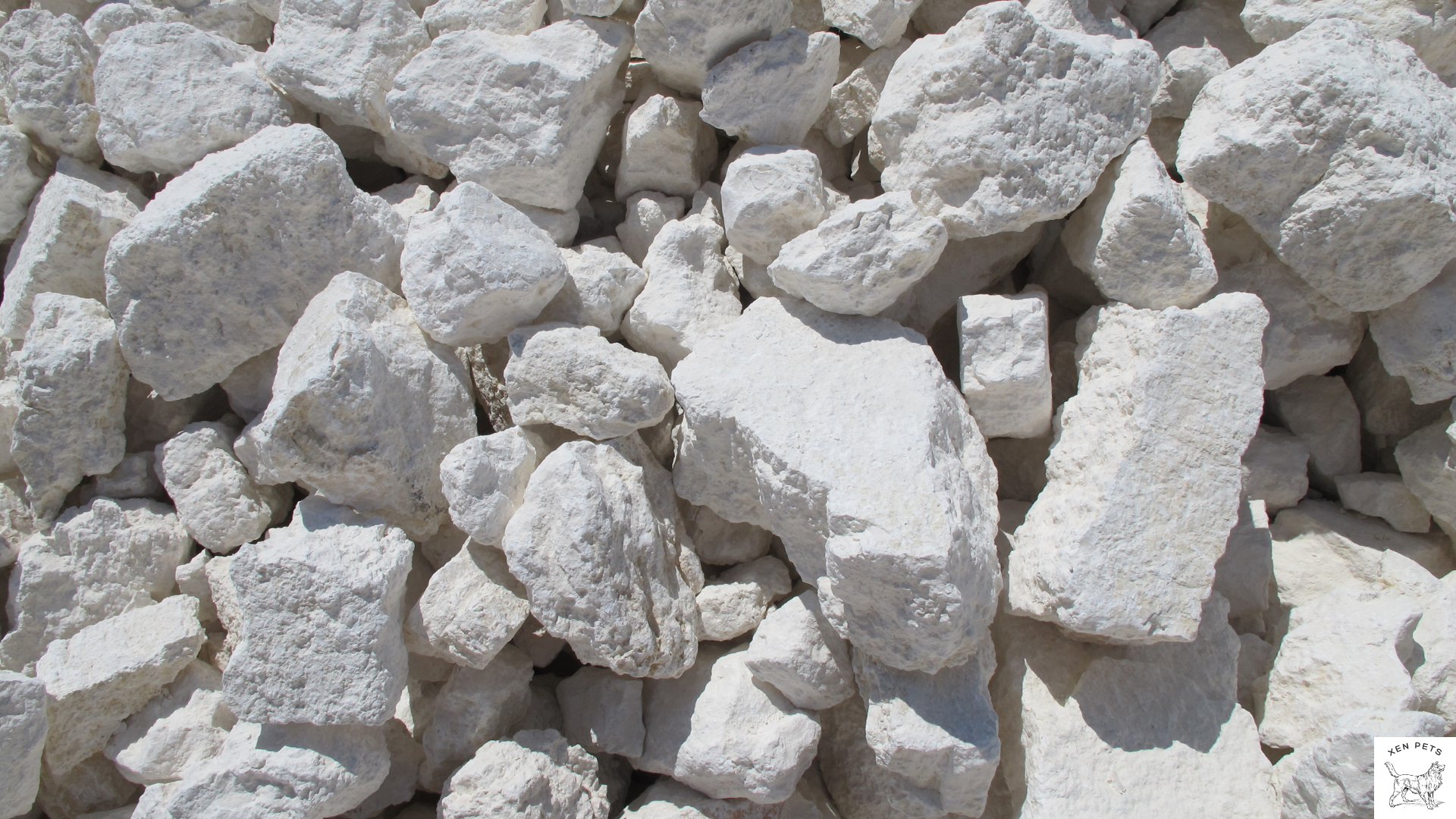 What is Calcium Carbonate? 