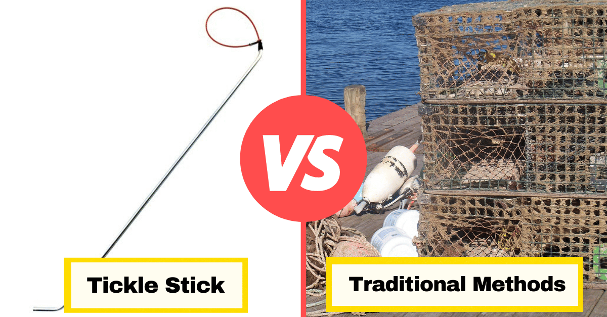 A comparison of tickle stick to traditional lobstering methods 