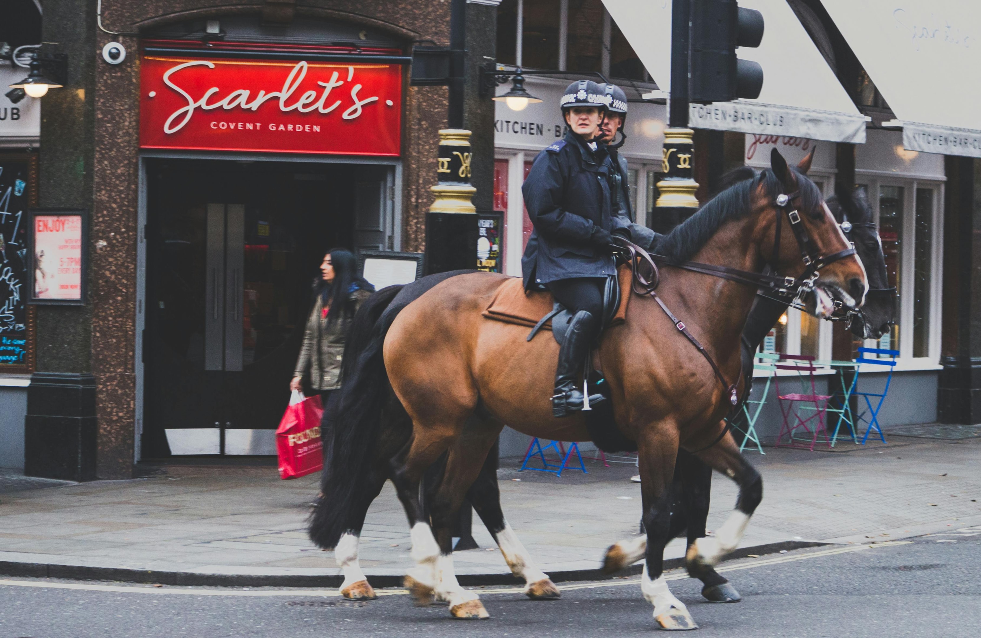 Police horses at work.