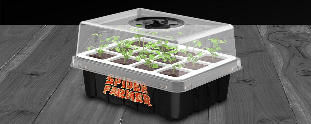 Spider farmer seed starting trays
