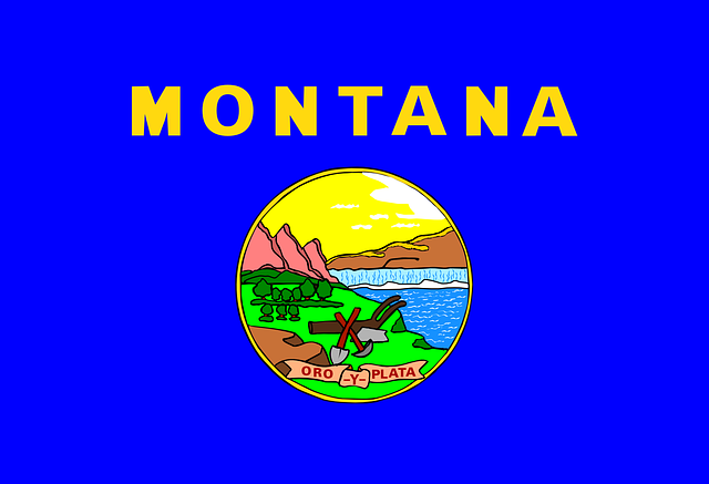 montana, state flag, blue, business loans in montana, new location