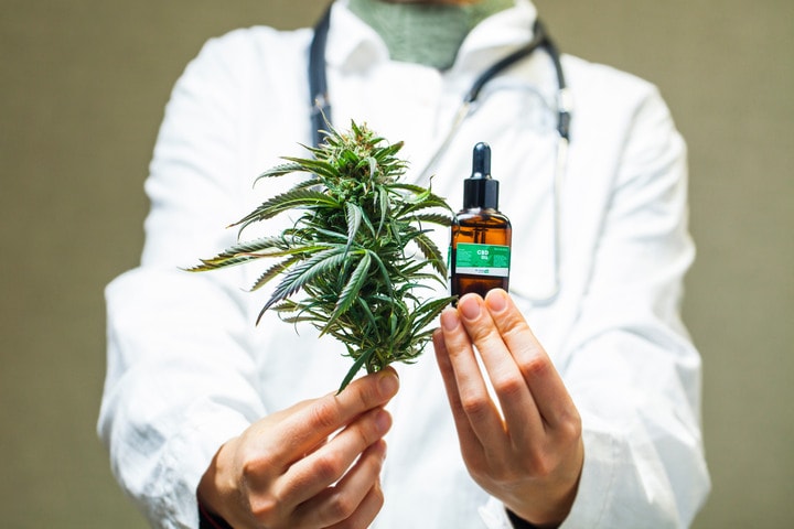 A healthcare professional displays a mature cannabis flower alongside a tincture extract, highlighting the distinction between whole-plant medicine and concentrated preparations.