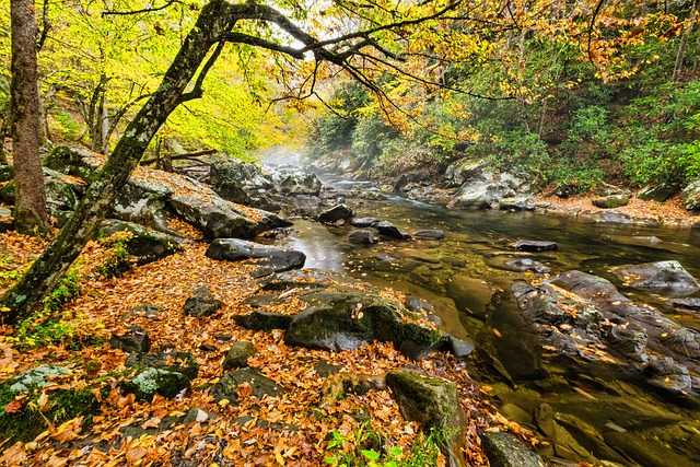 smoky mountains, brook, river