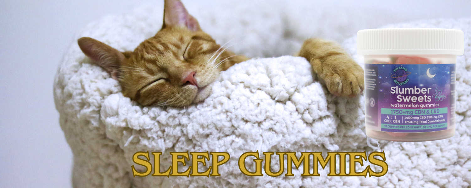 CBN sleep gummies with a sleeping cat