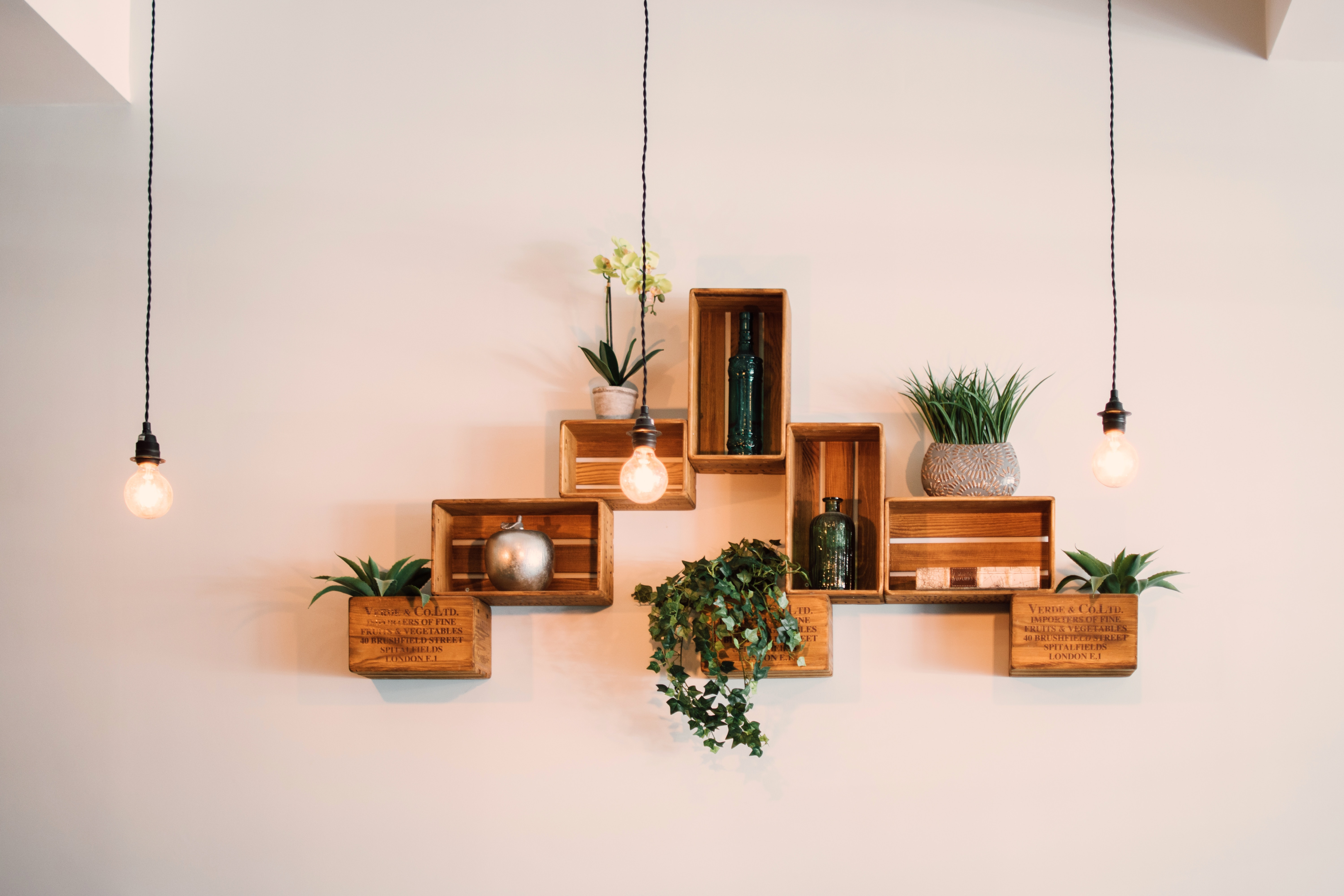 crate wall hanging with plants and hanging bulbs