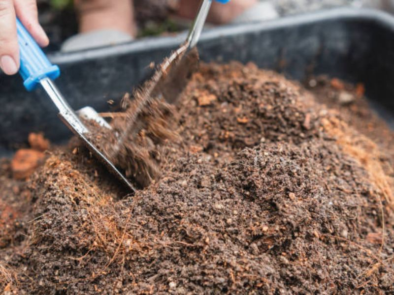Making the perfect soil mix for your bonsai 