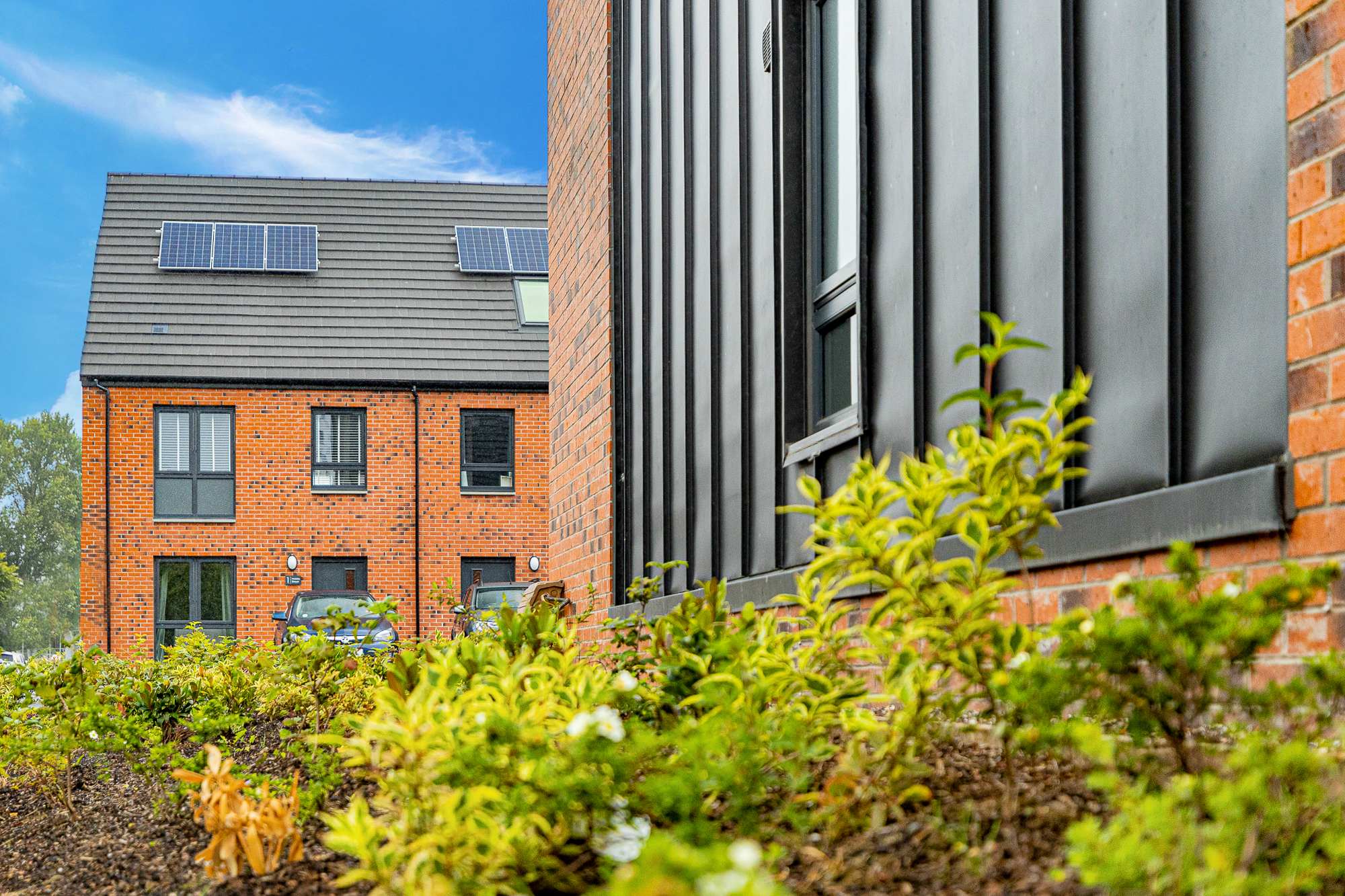 Energy efficient home with green plants to outside 