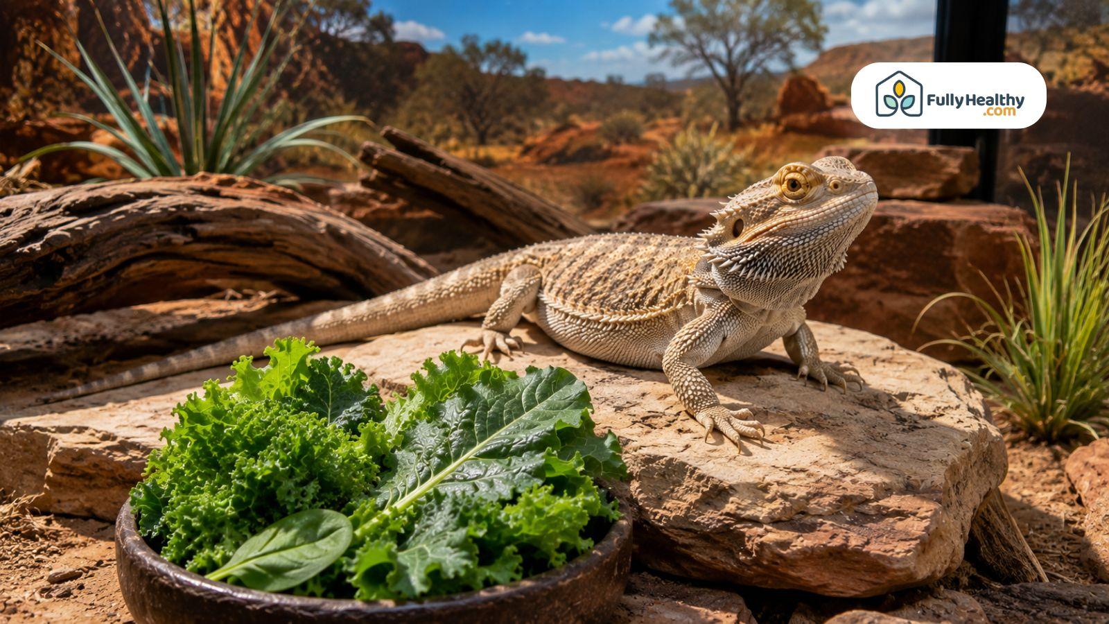 Healthy bearded dragon near nutrient-rich greens in natural habitat