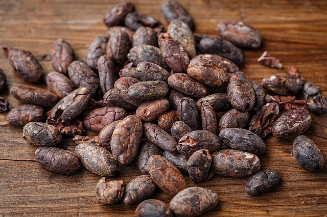 cacao bean, cocoa bean, cocoa, bitters