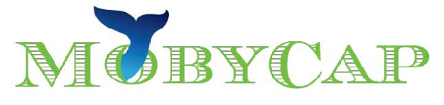 Moby Capital logo, MobyCap logo, Moby Capital review,