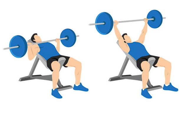Incline Bench Press, two muscle groups, chest workouts, chest and bicep workout
