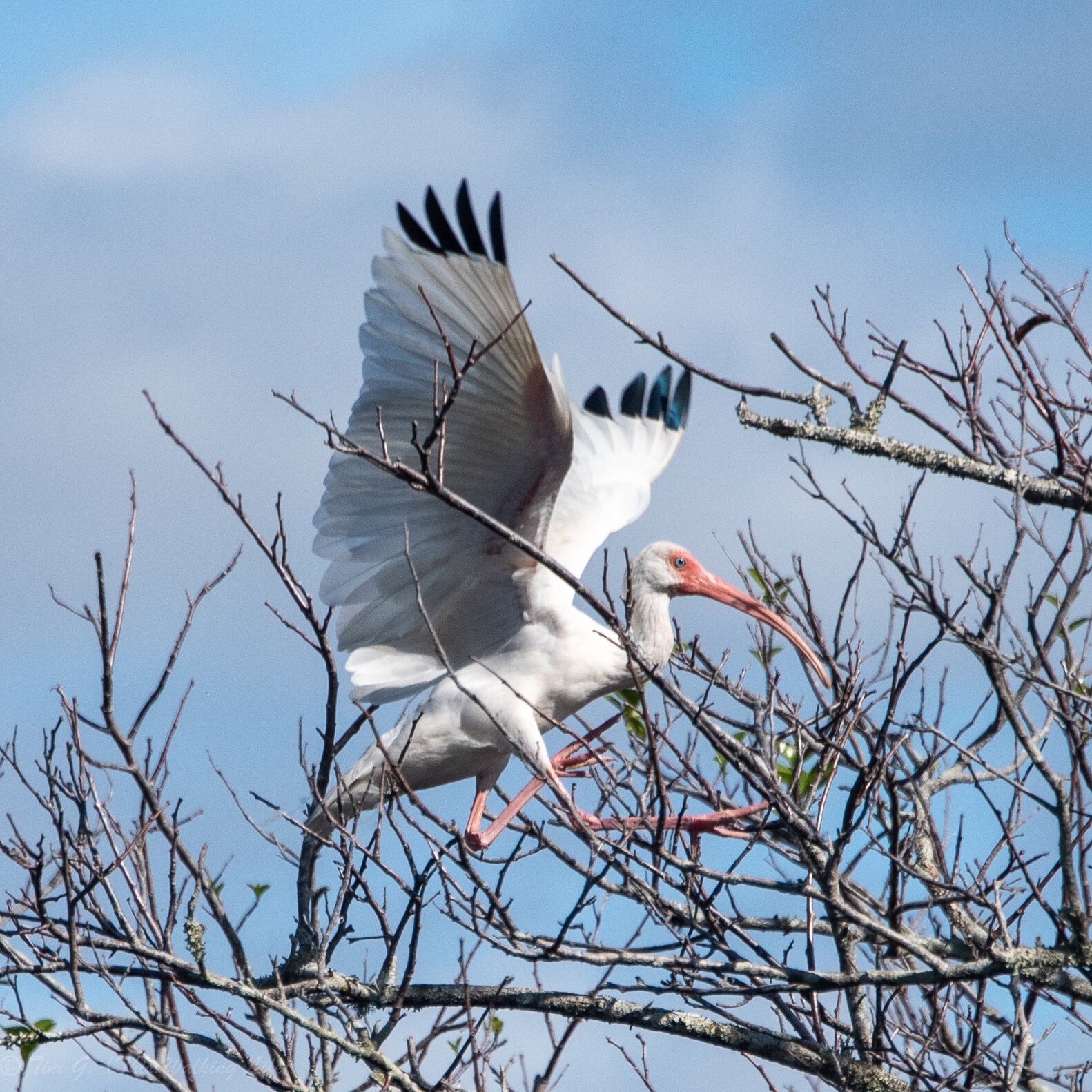 Flamingo Visitor Center Trails