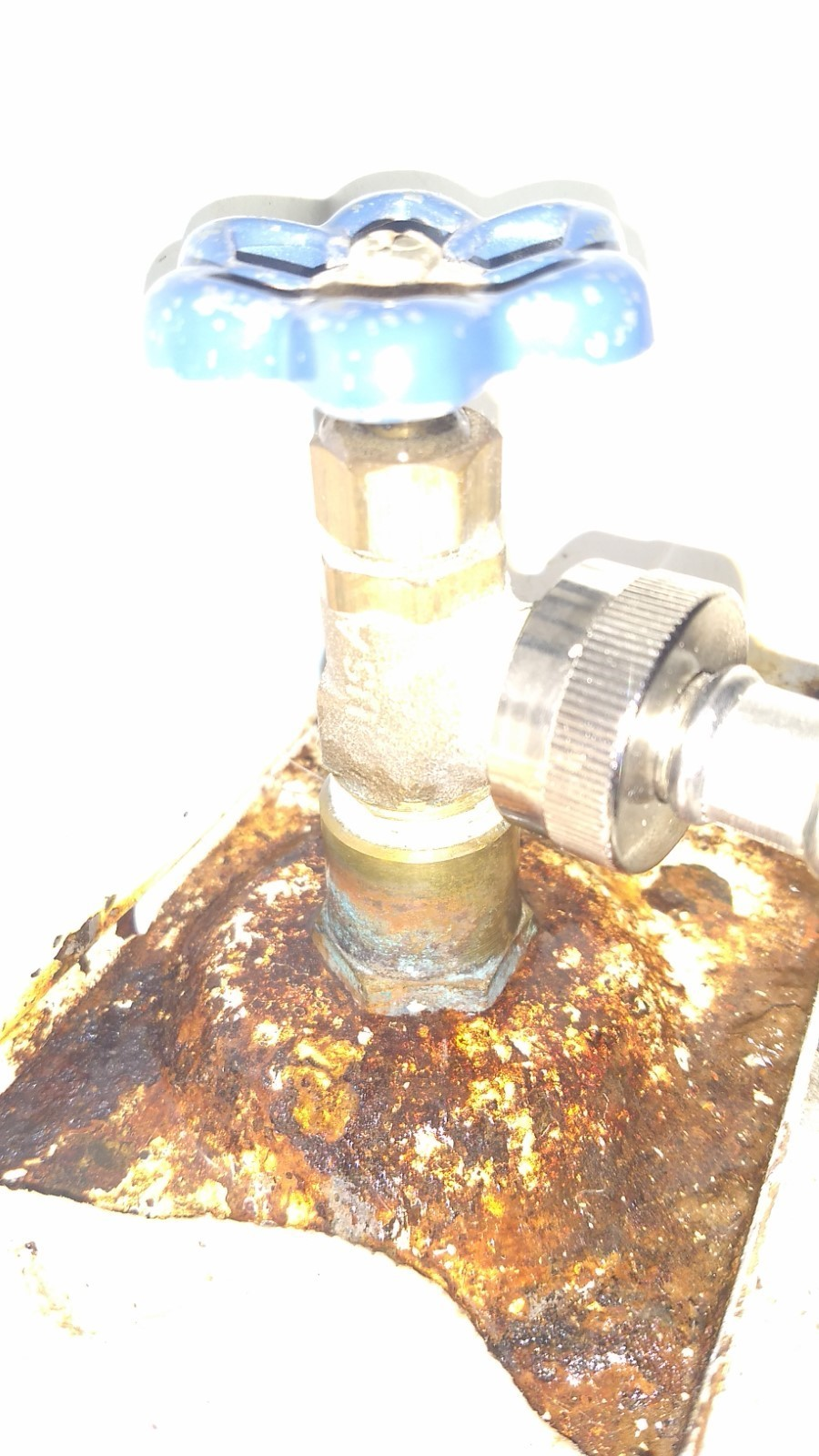 Leaking water from a hot-water shut-off valve connection,
