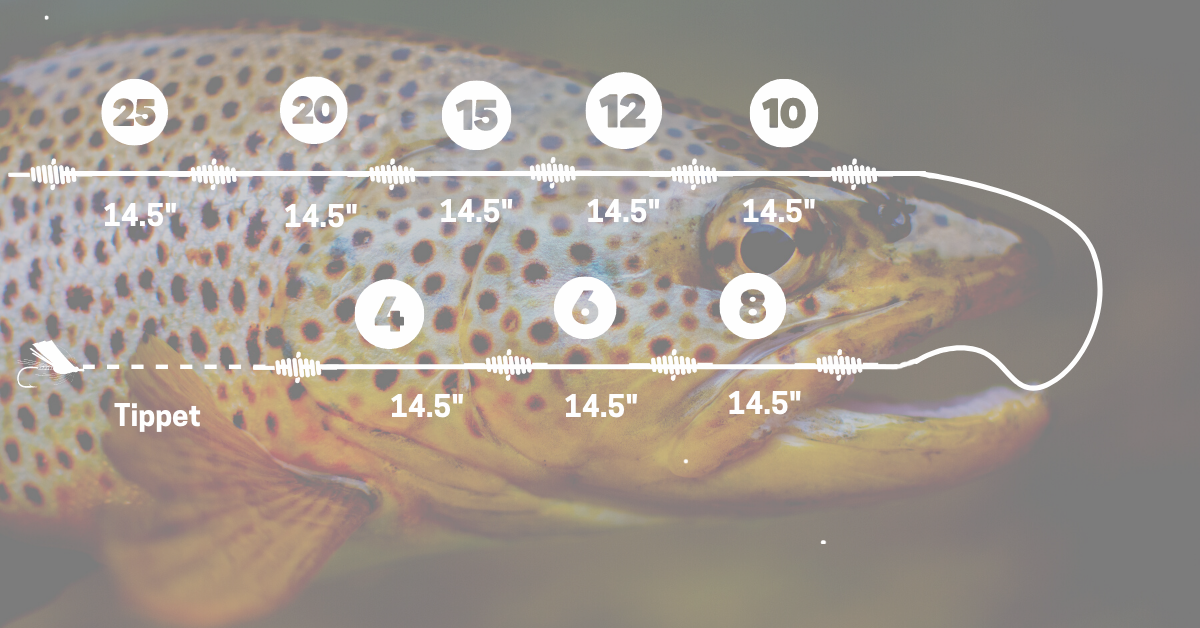 Fly Fishing Leader Formula Create Perfect DIY Trout Leaders