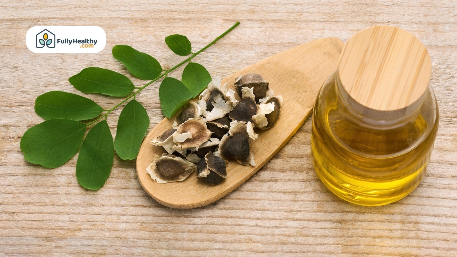 Fresh coriander leaves under sunlight with deep green foliage background