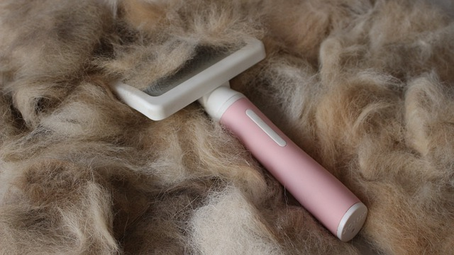 Furminator slicker clearance brush for dogs