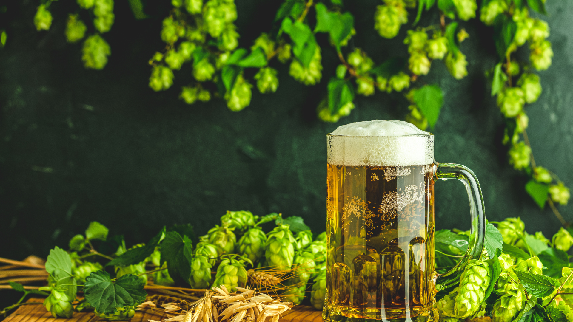 humulene terpene in hops and beer