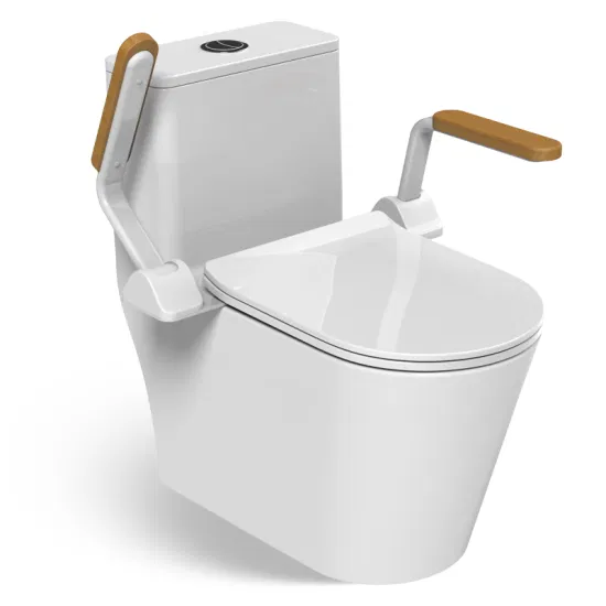 Choosing Toilet Safety Rails for Elderly Users