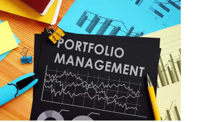 What is portfolio management?