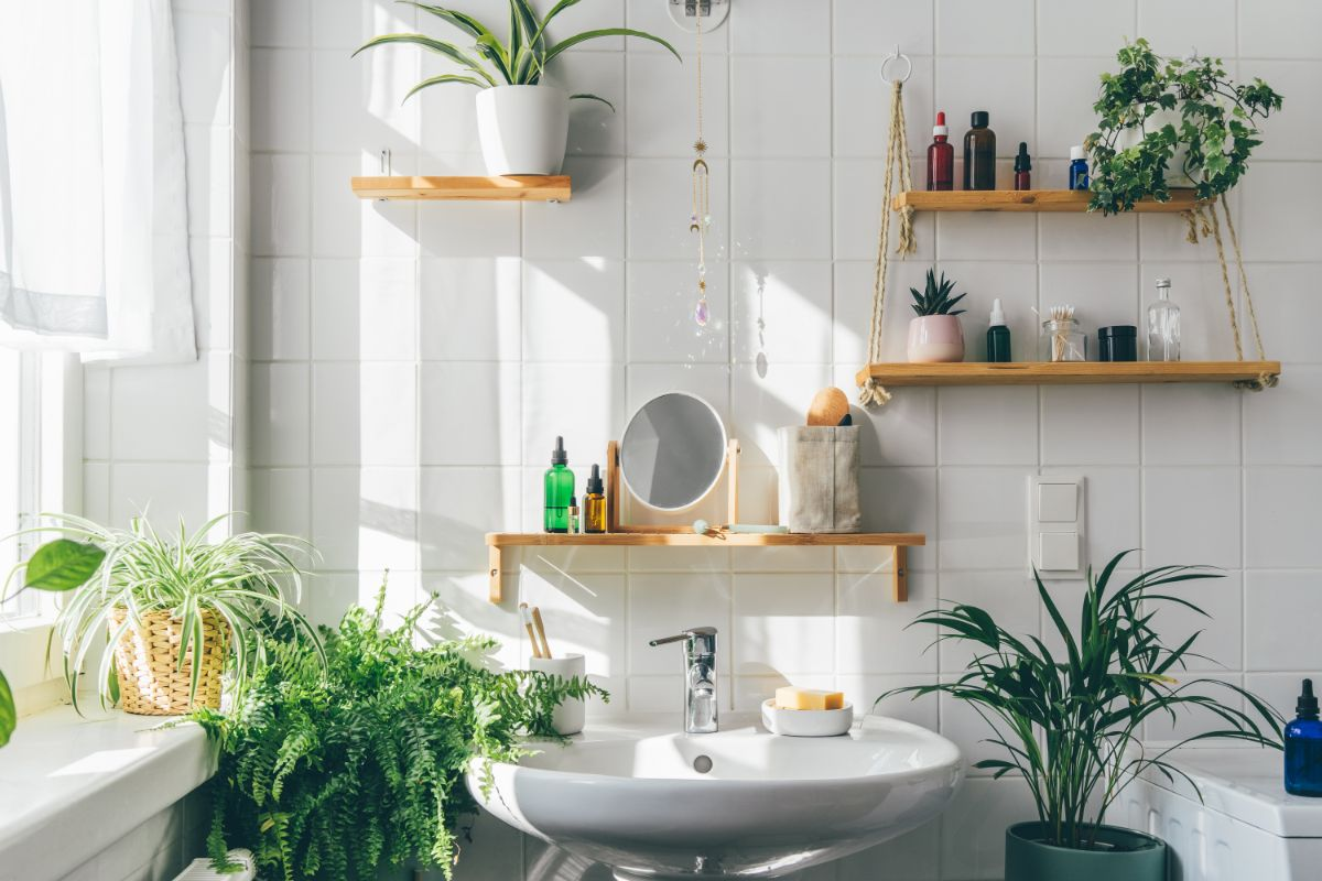 best bathroom plants